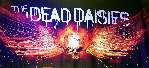 Dead-Daisies-02-Wiesbaden-04-05-2018_thumb