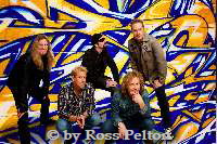Night-Ranger-by-Ross-Pelton-3_thumb Night-Ranger-by-Ross-Pelton-3_thumb
